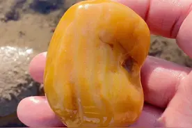 碰运气还能捡到一块#户外捡石 #美石分享 #渭河石视频封面