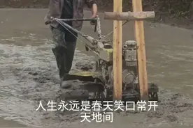 亲友们大家好！昨天晚上下大雨，今天打田咯，田不平的可以用这个方法很好使，#农村#农村生活