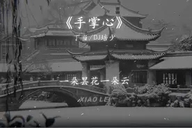 鸿蒙生两仪 恨为爱之极. #dj降调 #手掌心