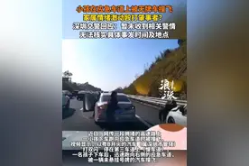 小孩在应急车道上被无牌车撞飞，家属情绪激动殴打肇事者？深圳交警回应：暂未收到相关警情，无法核实具体事发时间及地点。#深圳 #高速 #高速应急车道 #应急车道 @抖音短视频视频封面