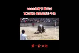 巅峰期的擎天柱2009年春节首次出征贵州，第二轮差点碰S贵州的火箭牛，贵州牛最后是扛着出去斗牛场！从此擎天柱在贵州一战成名！书写了擎天柱贵州之行的神奇篇章！#擎天柱#贵州 #斗牛 @DOU+小助手视频封面