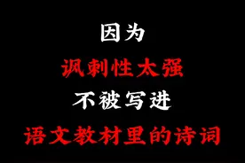 那些讽刺性极强的诗句！#古诗 #诗词名句赏析 #古诗词的魅力视频封面