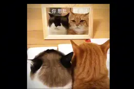 爱能克服距离吗？#情感共鸣 #内容过于真实 #逐影随行