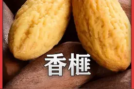 香榧是怎么制作的？#香榧 #好吃不贵经济实惠 #干果