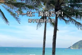 这个夏天一定要来一趟海南万宁吃一顿椰子鸡火锅！! #万宁美食#椰子鸡视频封面