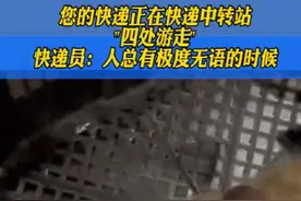 您的快递正在快递中转站"四处游走"。 快递员：人总有极度无语的时候。视频封面