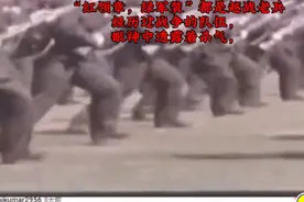 外网看84阅兵，都是越战老兵，眼神中透露着杀气视频封面