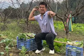 #农村搞笑段子 #憋住不准笑 #看一次笑一次 #幽默笑话段子 #笑喷了 二娃手爪爪应是欠啊@贵州三妹（汪二娃团队）视频封面