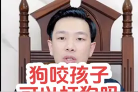 孩子被狗咬了，打死咬人的狗，主人索赔10000，结果大快人心#法律 #律师 #狗主人必须尽快绳之以法视频封面