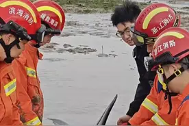 送大鱼回家！搁浅的海豚安全回归大海~#浙里是浙江消防视频封面
