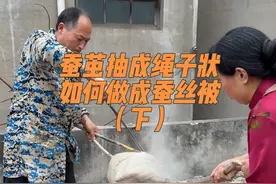 粉条状的蚕丝如何做成蚕丝被（下） 前几天山东日照的一位姐姐拿来了一包朋友送的粉条状态的蚕丝想做床蚕丝被，虽然是粉条状，但是不影响使用可以做成被子，昨天对蚕丝进行了处理，和处理蚕茧的步骤是一样的，一道工序都不缺，先是需要把蚕丝装进布袋子里面，然后在锅里面加上清水，放点秘密佐料，再把装好的蚕丝放进锅里面煮，他这个因为有点多，中途发现一次性煮根本煮不透，所以又费了一遍事儿分成两锅煮，他这个因为已经抽成丝了，所以不能煮的太久开锅煮之后大概二十分钟就差不多了，煮的时间长短和放的佐料多少都会对蚕丝质量也会有影响，煮好之后捞出来清洗，需要多清洗几遍，直到把水洗清为止，最后再晾晒，今天蚕茧晒干了开始做被子#蚕茧抽成绳子状如何做成蚕丝被 #蚕茧如何做成蚕丝被 #蚕茧做蚕丝被的过程 #蚕丝被视频封面