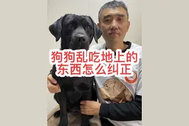 狗狗总吃地上的东西怎么办？#养狗经验分享 #科学养宠攻略 #新手养狗 #狗子