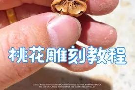 很多姐妹都捡了桃枭想做成手串，今天出一个桃花的雕刻教程，姐妹们可以自己动手做一个漂亮的桃花手串！#内容启发搜索 #桃核雕刻 #桃核手串 #文玩手串 #万物皆可盘视频封面