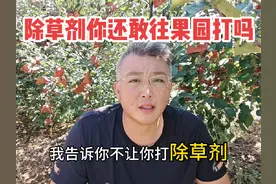 除草剂你还敢往果园打吗？#果园除草视频封面