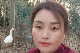 带大家看看鹅妈妈下蛋全过程，秋天里的第一枚老鹅蛋，#大白鹅生蛋 #意不意外 #万物有灵