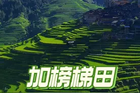 世界三大梯田之一的加榜梯田贵州宝藏级旅游地，风景绝美