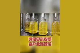 买食用油认准呼伦贝尔农垦，全产业链管控 #呼伦贝尔 #食用油 #芥花油 #呼伦贝尔农垦视频封面