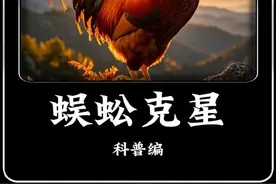 那问题来了鸡的克星是什么？#奇闻趣事 #科普 #动物视频封面