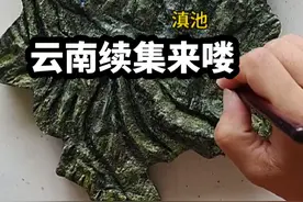 大美边境云南省续集，洱海滇池再上榜。边境疆土牢不可破！视频封面