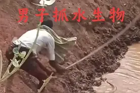 男子放羊时盯上一条趴在河边的不明生物 #动物世界 #真实户外 #神奇动物在抖音 #不明生物视频封面