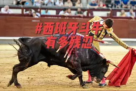 西班牙斗牛有多残忍？所有的牛都必须死？ #不可思议 #万万想不到视频封面