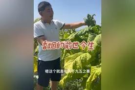 各种香烟的前世今生