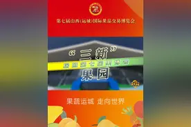 探班第七届果博会 “三新”果园 #运城  #果博会 #果蔬运城视频封面