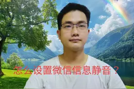 怎么设置微信信息静音？#手机使用技巧 #实用小技巧 #玩机技巧