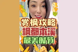两天一夜玩转枫都本溪，趁着枫叶正红，还等什么啊！#本溪旅游攻略 #老边沟 #大石湖 #本桓公路 #本溪枫叶