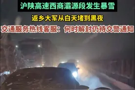 沪陕高速西商灞源段发生暴雪，返乡大军从白天堵到黑夜视频封面
