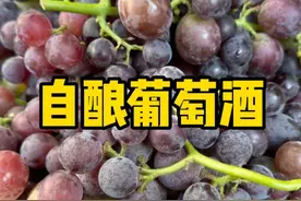 婆婆买了十斤葡萄在家自酿葡萄酒，做法简单味道醇香，特别好喝。详细做法教给大家，你也做起来吧#自制葡萄酒 #新农人计划2023 #跟抖音学做菜视频封面