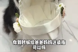 送戒指啦！小狗的爱虽然笨拙，但小狗永远爱你！ 所有的人生大事他都要参与！#边牧 #狗狗送戒指