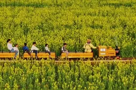 无锡赏花自驾一日游路线，全程免费，风景非常漂亮，适合周末自驾一日游#无锡 #江浙沪周边游 #惠山桃花约 #阳山半马 #阳山桃花马视频封面