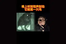 夜调和走山路的兄弟们，你们晚上听到恐怖的声音别怕，其实他就是一只鸟，#户外#农村生活#野猪#鸟#猫头鹰视频封面