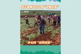 我种的小麦成了我吃不起的面包！#农民 #玉米蛋挞 #面包店 #物价 #万万没想到视频封面