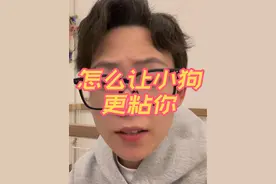 怎么样才能让小狗更粘你#养狗经验 #新手养狗 #科学养狗视频封面