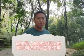 被执行人的微信和支付宝为何还可以正常使用视频封面