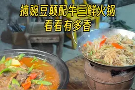 第二茬豌豆尖终于可以吃了 @陈饭很忙 给爸妈做牛三鲜火锅配自家的各种青菜太适合这个天吃了#新农人计划2025 #我的乡村生活 #豌豆尖  #给爸妈做饭 #治愈系美食