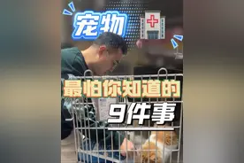 宠物医院最怕你知道的9件事#新手养猫 #养猫人 #养猫新手视频封面
