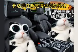 小时候听DJ老歌时VS长大后听DJ老歌时 #老大dj版 #猫咪表情包 #猫