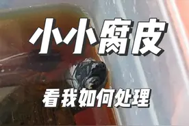 乌龟腐皮了怎么办？小小腐皮不用害怕，看我小妙招#养龟日常 #龟宠时代 #龟龟🐢 #养龟人 #乌龟腐皮