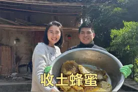 山里收土蜂蜜，看看养蜂人怎么取蜂糖 #我的乡村生活 #土蜂蜜视频封面