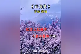#红梅赞 #音乐分享 #经典老歌 #经典红歌 #一代人的回忆视频封面