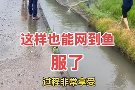 真的服了人才小河沟撒网这样用也能网到鱼 #户外抓鱼 #户外捕鱼#撒网捕鱼#户外撒网娱乐捕鱼 #真实户外视频封面