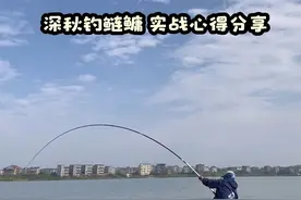 深秋钓鲢鳙水层特别关键，实战心得分享，有效减少空军概率 #钓鱼技巧 #野钓技巧 #鱼竿推荐