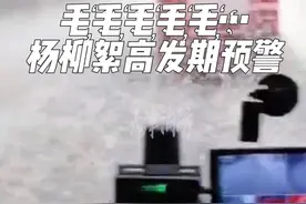 毛҉毛҉毛҉毛҉毛҉……杨柳絮高发期预警，天津消防提醒您：处理杨柳絮可多洒水，勤打扫，或土埋处理，千万不要好奇点燃柳絮！#你好天津 #点赞天津 #京津冀杨柳絮 #杨柳絮 #消防科普视频封面