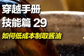 穿越必备实用技能之如何在古代低成本制取酱油#科普 #百科 #粮食 #穿越必备技能 #古法酿造酱油视频封面