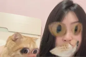哈哈哈哈哈哈哈哈#和猫咪换脸 #猫咪的迷惑行为 #橘猫