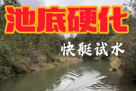 把二号池的池底硬化了，去试下新买的快艇，哈哈玩具快艇。 #三农 #小院改造 #山泉水 #庭院鱼池 #乡村生活视频封面