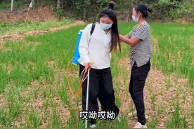 把家里收拾完去给婆婆帮忙，公公婆婆养鸡的同时还种了很多地，做父母的都是为了我们，，看着大儿子什么也干不了，公公婆婆特别努力，就想着能为我减轻一些压力，看到他们白发苍苍的，我也很心疼#励志夫妻的日常生活